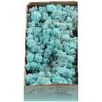 Trend Bahçe Reindeer Moss Aquamarine(Turkuaz) Şoklanmış Norveç Yosunu