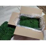 Trend Bahçe Reindeer Moss Dark Green Şoklanmış Norveç Yosunu 4 KG