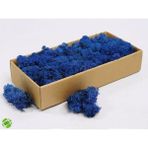 Trend Bahçe Reindeer Moss Mavi Şoklanmış Norveç Yosunu