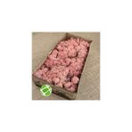Trend Bahçe Reindeer Moss Roze Color Şoklanmış Norveç Yosunu
