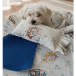 TrendyPati Çift Taraflı Poplin & Polar Köpek Battaniyesi ve Yastık Seti – Yumuşak, Sıcak ve Konforlu - Koyu Mavi