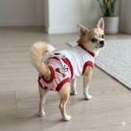 TrendyPati Dişi Köpek Regl Külodu ve Tshirt Takımı – Ayarlanabilir, Yıkanabilir, Hijyenik Köpek Külodu - Bordo