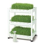Tribest Sproutman’s Topraksız Buğday Çimi Yetiştiricisi