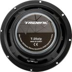 Trident T-20ALP Mindrange 20 cm 600 W Siyah Oto Hoparlör