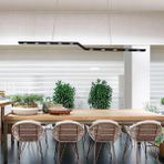 Triolux TRA21002 Eco 120 cm LED Avize Sarkıt Z Punt - Işık Rengi 3000K Sıcak Beyaz - Siyah