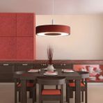 Triolux TRA34204 Eco Ø40 cm LED Avize Sarkıt Trommel - Işık Rengi 4000K Doğal Beyaz - Siyah