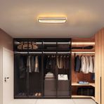 Triolux TRA54114 Eco 40*16 cm LED Avize Plafonyer Basıs - Işık Rengi 6500K Soğuk Beyaz - Yeşil