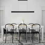 Triolux TRA61101 Eco 120 cm LED Avize Sarkıt Quınze - Işık Rengi 4000K Doğal Beyaz - Siyah