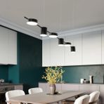 Triolux TRA84005 Eco 120 cm LED Avize Sarkıt Verre - Işık Rengi 6500K Soğuk Beyaz - Antrasit