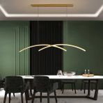 Triolux TRV32024 Pro 120 cm LED Avize Sarkıt Gavıota - Işık Rengi 6500K Soğuk Beyaz - Antrasit