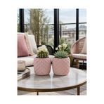 triora Ananas Model 2’li Dekoratif Sukulent Saksısı 9,5cm (y) x 10cm çap