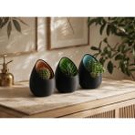 Triora Design 3lü Eggpod Yumurta Tasarımlı Dekoratif Sukulent Saksısı Modern Minimalist Kaktüs Saksısı - 3 Adet - 10cm x 8cm