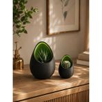 Triora Design Eggpod Yumurta Tasarımlı Dekoratif Sukulent Saksısı Modern Minimalist Kaktüs Saksısı - 16cm x 12cm - 10cm x 8cm - 2 Adet