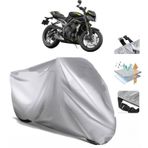 Triumph Street Triple Motor Brandası