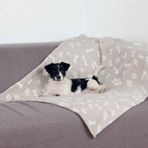 Trixie 150x100cm Bej Köpek Battaniyesi