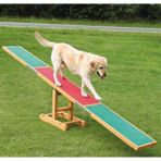 Trixie Agility Köpek Eğitim Tahtıravallisi 300x54x34 Cm