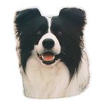Trixie Border Collie 1 Adet Köpek Çıkartması