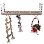 Trixie Hamster 29x25x9 cm Asma Köprü