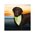 Trixie Köpek Bandanası S-M 29-42 Cm