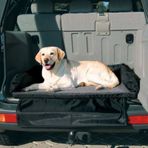 Trixie Köpek İçin 1.40x1.60 cm Yataklı Araba Arkası Örtüsü
