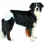 TRIXIE Köpekler için bebek bezi, M bel çevresi 32-48 cm, 12 adet, 23633