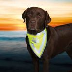 Trixie L-XL 42-60 cm Köpek Bandanası