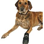 Trixie Neopren XXL Siyah 2 Adet Köpek Patiği