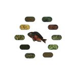 Tropheus Red Belly 6 Çeşit 100 gr Özel Balık Yem Paketi