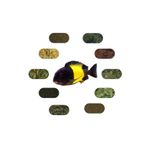 Tropheus Sp. Ikola 6 Çeşit 100 gr Özel Balık Yem Paketi