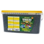 Tropical 100 gr Kovadan BölmeSuper Spirulina Forte Chips Balık Yemi