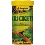 Tropical Astacolor 250 gr Açık Balık Yemi