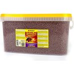 Tropical Cichlid Carnivore Medium Pellet Balık Yemi 50 gr