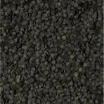 Tropical Super Spirulina Forte Chips 50 gr Balık Yemi