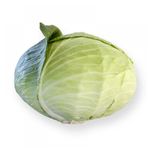 Tropik Market Beyaz (Yalova) Lahana Tohumu 10 gr Paket