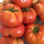 Tropik Market Köy Domatesi Tohumu 2 gr Paket