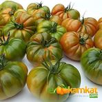 Tropik Market Köy Tipi Yayla Domatesi Tohumu Paket 5 gr.