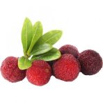 Tropikal Myrica Çin Çileği Tohumu 2 Tohum + Süpriz Hediye Tohum