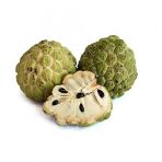 Tropikal Sugar Apple Meyvesi Tohumu 3 Adet Tohum Şeker Elma