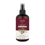 True Bee Karanfil Çam Terebentin & Karanfil Dökülme Önleyici & Güçlendirici Tonik 250 ml