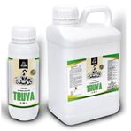 Truva - Lindsay Clarke