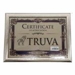 Truva TRV020G 21x29,7cm 2cm A4 Altın Yaldız Çerçeve