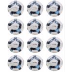 Tryon FT-180 Mavi Futbol Topu 4 Numara 12 Adet - Mavi - Beyaz