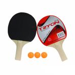 Tryon Mts 50 Masa Tenisi 2 Raket 3 Top
