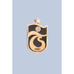 TS CLUB 8684333917932 Gümüş Rozet