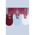 TS CLUB 8684333928921 3'lü Bebek Sneaker Çorap