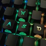 TS Keycap Yedek WASD UV Kaplama Arkadan Aydınlatmalı Çift Çekim Sevimli Tuş Kapağı OEM Profili Tüm Cherry MX Oyun Mekanik Klavye (4 Tuşlu WASD)