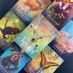 TS13 Tarzı Binbir Gece Tarot Tarot Kart Oyunu Tarot Güverte Tahta Oyunu Yetişkinler Için Oracle Tarot Acemi Kader Kehanet Için (Yurt Dışından) - Renkli - Masa oyunu tek görüntü
