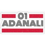 Tsc 01 Adanalı Plaka Araba Sticker Yapıştırması 20 cm - Çok Renkli - 17CM