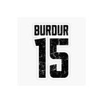TSC 15 Burdur Sticker Yapıştırma Oto Etiket 17cm Renkli, EYMSS12