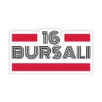 Tsc 16 Bursalı Plaka Araba Sticker Yapıştırması - Çok Renkli - 17CM
